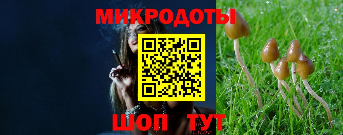 Галлюциногенные грибы Magic Shrooms  дарнет шоп  Томск  Вход с VPN 